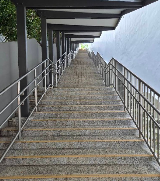 The covered hundred steps leading up from Handy Road